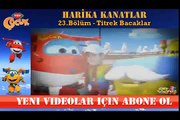 HARİKA KANATLAR 23 BÖLÜM TİTREK BACAKLAR