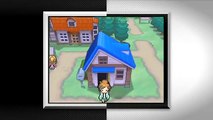New Characters and Region - Pokémon Black Version and Pokémon White Version