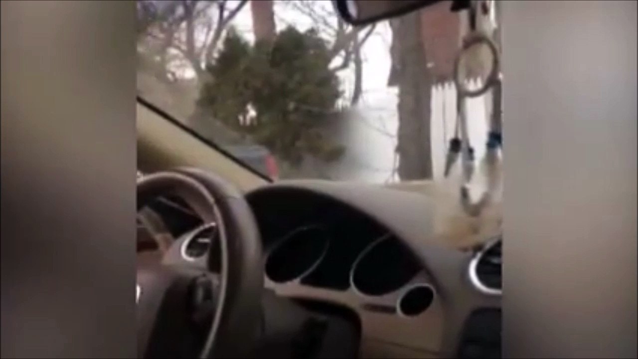 Elle se fait attaquer par un écureuil planqué dans sa poubelle