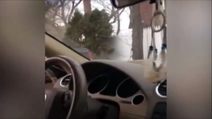 Elle se fait attaquer par un écureuil planqué dans sa poubelle