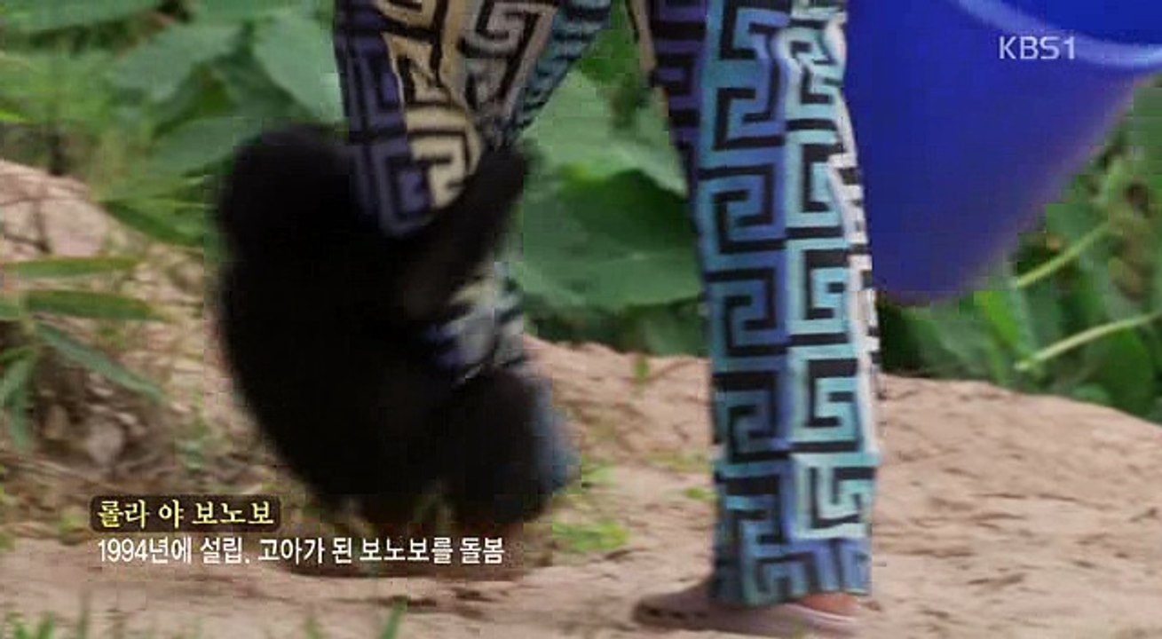 동물의 세계.E00.160428