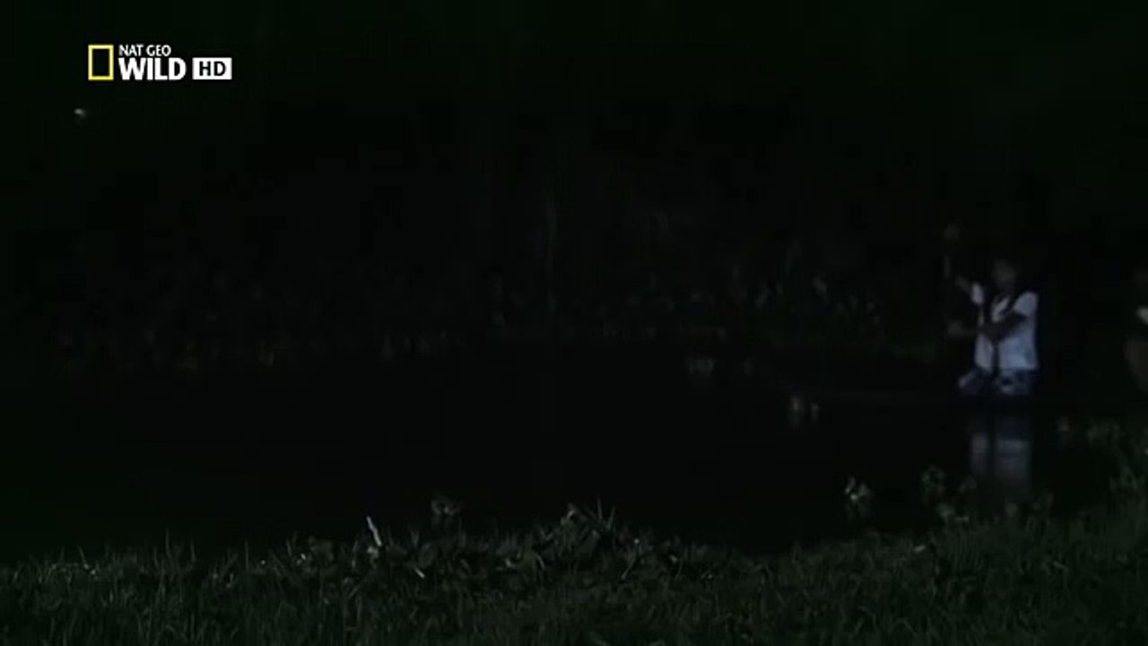 Monster Croc Hunt - Nature documentary 2016 93