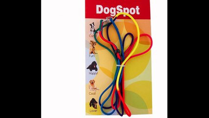 Dog Boarding San Diego