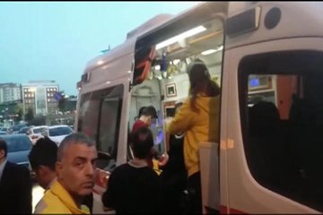 Tasmasız köpek 10 yaşındaki çocuğa saldırdı