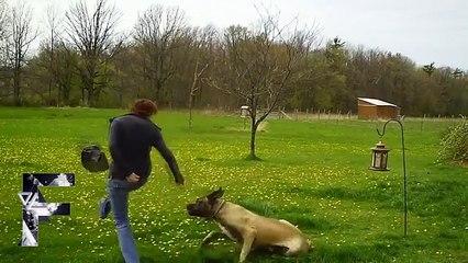 Animals Can Be Jerks