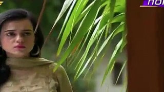 Hasratein Episode 26 on PTV Home - 27th April 2016