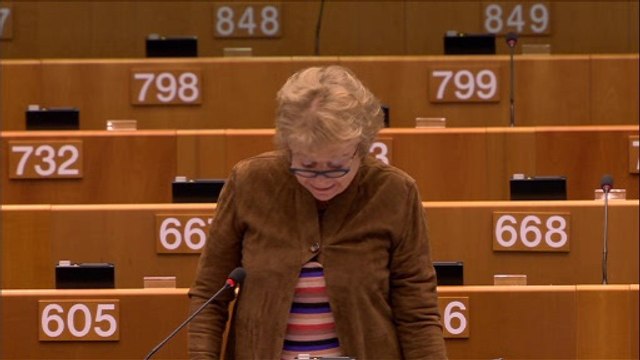 Eva Joly: l'honneur de notre Union est de regarder en face la situation sur la crise des réfugiés