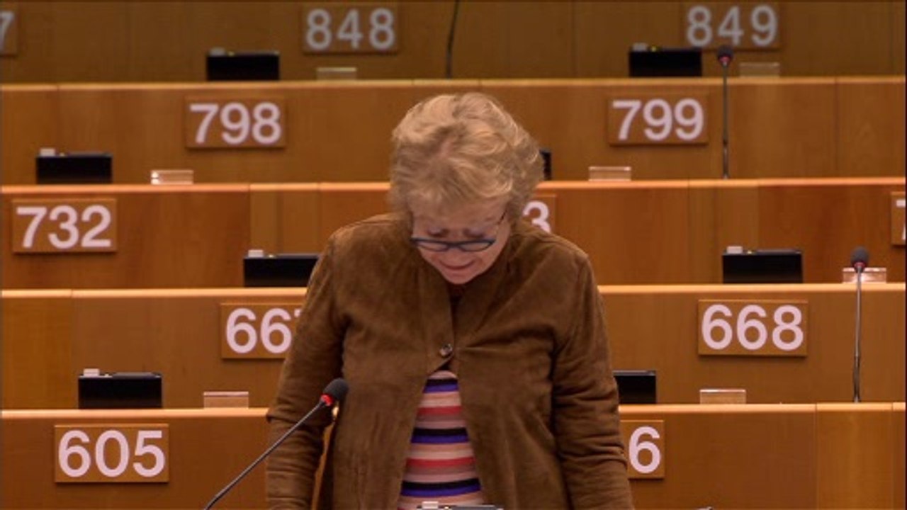 Eva Joly: "l'honneur de notre Union est de regarder en face la situation" sur la crise des réfugiés