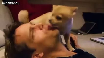 Cutest Puppies Howling Compilation 2016 [NEW]