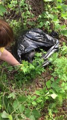 Discarded puppies rescued from trash bag in Barbour County