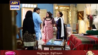 Bay Qasoor Episode 25 on ARY Digital - 27 April 2016