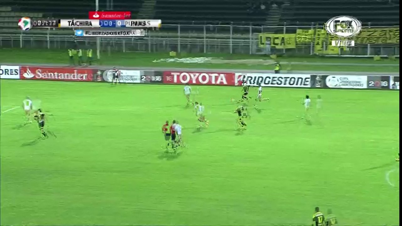 Cão entra em campo - footazo