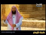 قصص الأنبياء الحلقة 14 - عودة سيدنا يوسف لوالديه