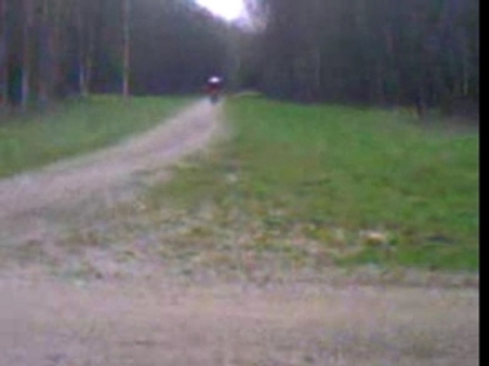 cr 250