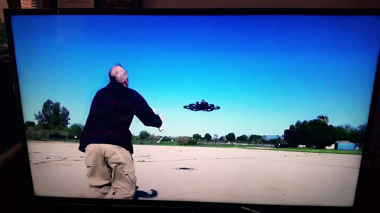 Squirrel steals drone