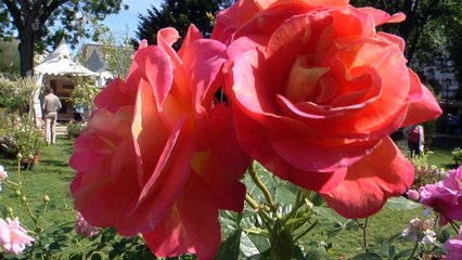 Le week-end 100% nature revient à Levallois !