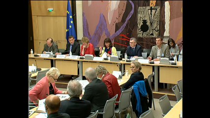 commission des affaires économiques auditionne les syndicats d’EDF