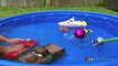 DRY ICE IN KIDDIE POOL Easy science experiment for kids Spiderman doll Disney Cars toys Egg Surprise