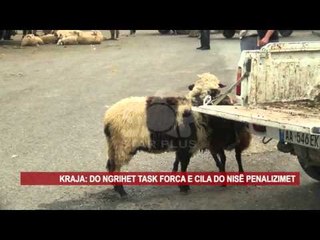 KONTROLLE TË RREPTA PËR KAFSHËT PA NUMËR IDENTIFIKUES