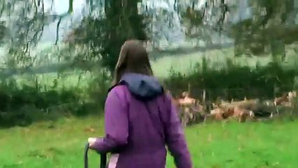 Après 3 semaines d'absence elle retrouve son cheval, la scène est très touchante