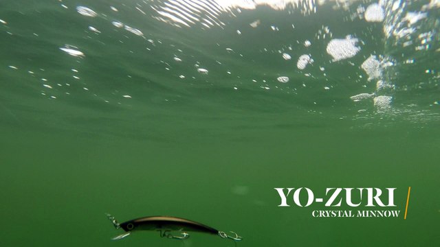 How Lures Swim: Yo-Zuri Crystal Minnow