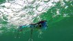 How Lures Swim: Williamson Jet Popper