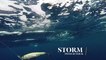 How Lures Swim: Storm Twitch Stick