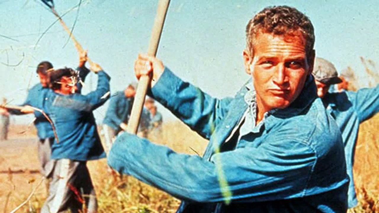 Cool Hand Luke (1967)