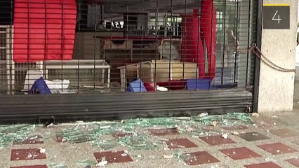 The Daily Brief: Opposition Violence Hits Zulia State in Venezuela