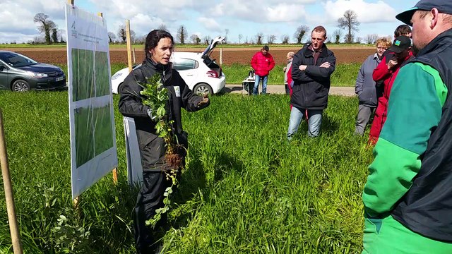 Agriculture : les éleveurs manchois recherchent de nouvelles façons de nourrir leur bétail