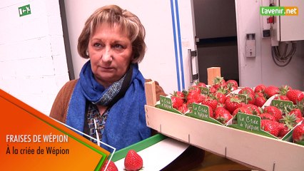 L'Avenir - Fraises de Wépion - Criée de Wépion