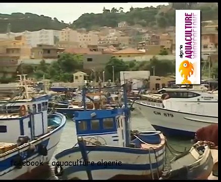 Béjaia | Ports de pêche de Béjaïa Cap sur la modernisation