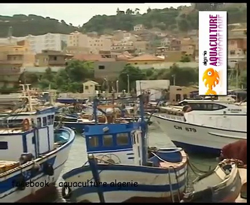 Béjaia | Ports de pêche de Béjaïa   Cap sur la modernisation