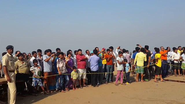 A 35-foot Dead Whale Washed Up At Juhu Beach Mumbai