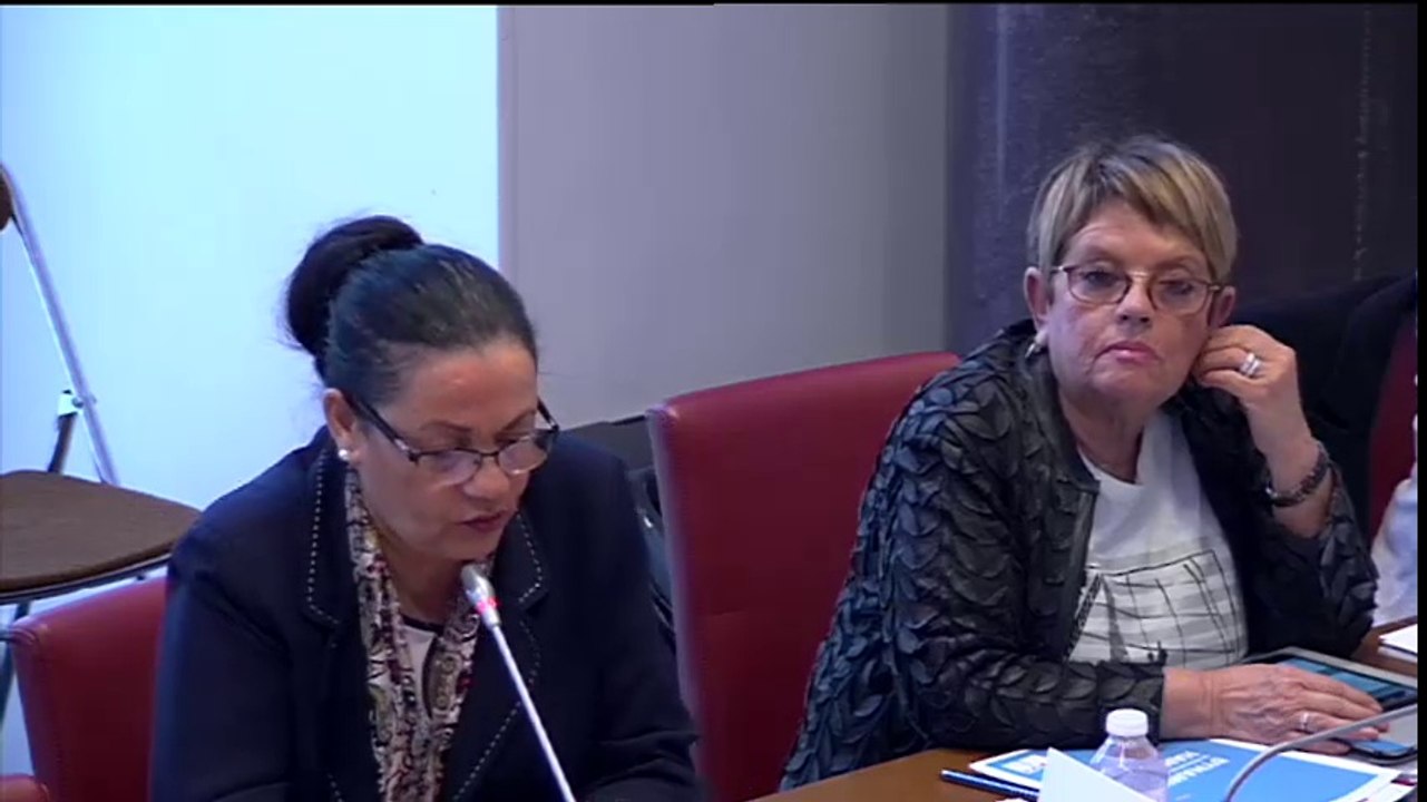 Question à Ségolène Neuville - 27 avril 2016