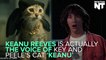 Keanu Reeves Is Actually The Voice Of The Cat In 'Keanu'