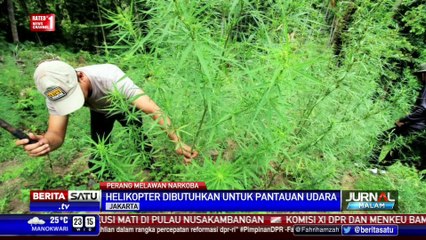 Antisipasi Peredaran Ganja di Aceh Terkendala Alat Pemantau Udara