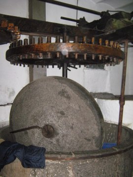 Olio Meelu, Oleificio Panizzi Cicin di Badalucco da Albergo Lucciola- Riviera dei Fiori