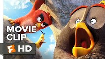 The Angry Birds Movie CLIP - Mighty Eagle Noises (2016) - Jason Sudeikis, Josh Ga Movie HD