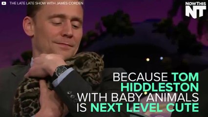 Tom Hiddleston With Baby Animals Might Be Cuter Than Hiddlesbum