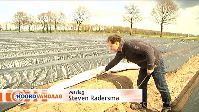 Het slechte weer stuwt prijs naar asperges naar grote hoogte - RTV Noord