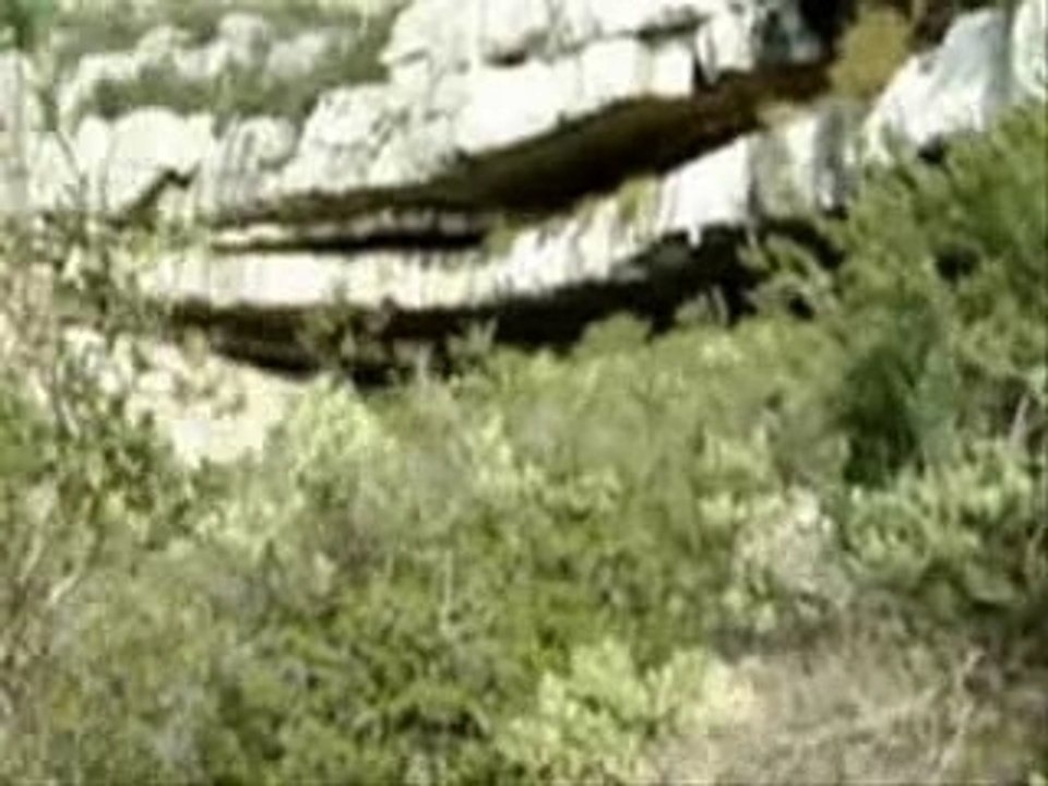 Sur la route de la Grotte de Passe Temps