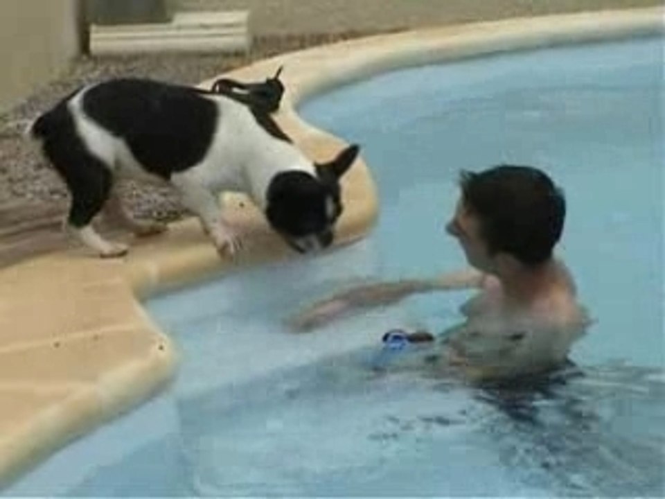 Wayway a la piscine
