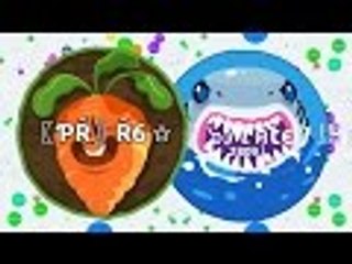 Agar.io - DESTROYING EVERYTHING /w〖ƤŘ〗๖คtє 馬修