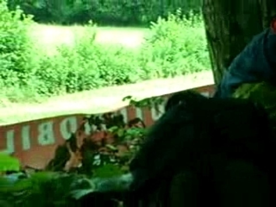 course de cote marchampt 2007 Honda Civic