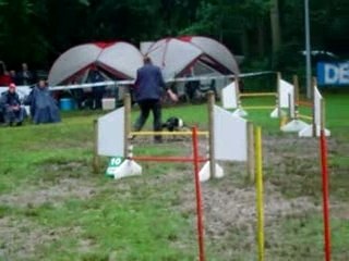 Anggun 1er degré LH