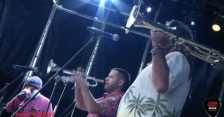 Chico Trujillo - VIÑA ROCK 2016