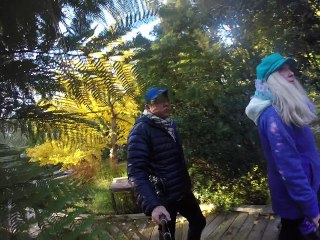 walking thru botanical garden San Francisco