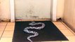 OMG!!! Snake at the Door-Funny Videos-Whatsapp Videos-Prank Videos-Funny Vines-Viral Video-Funny Fails-Funny Compilations-Just For Laughs
