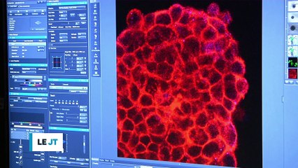 Olympiades de SI Grenoble